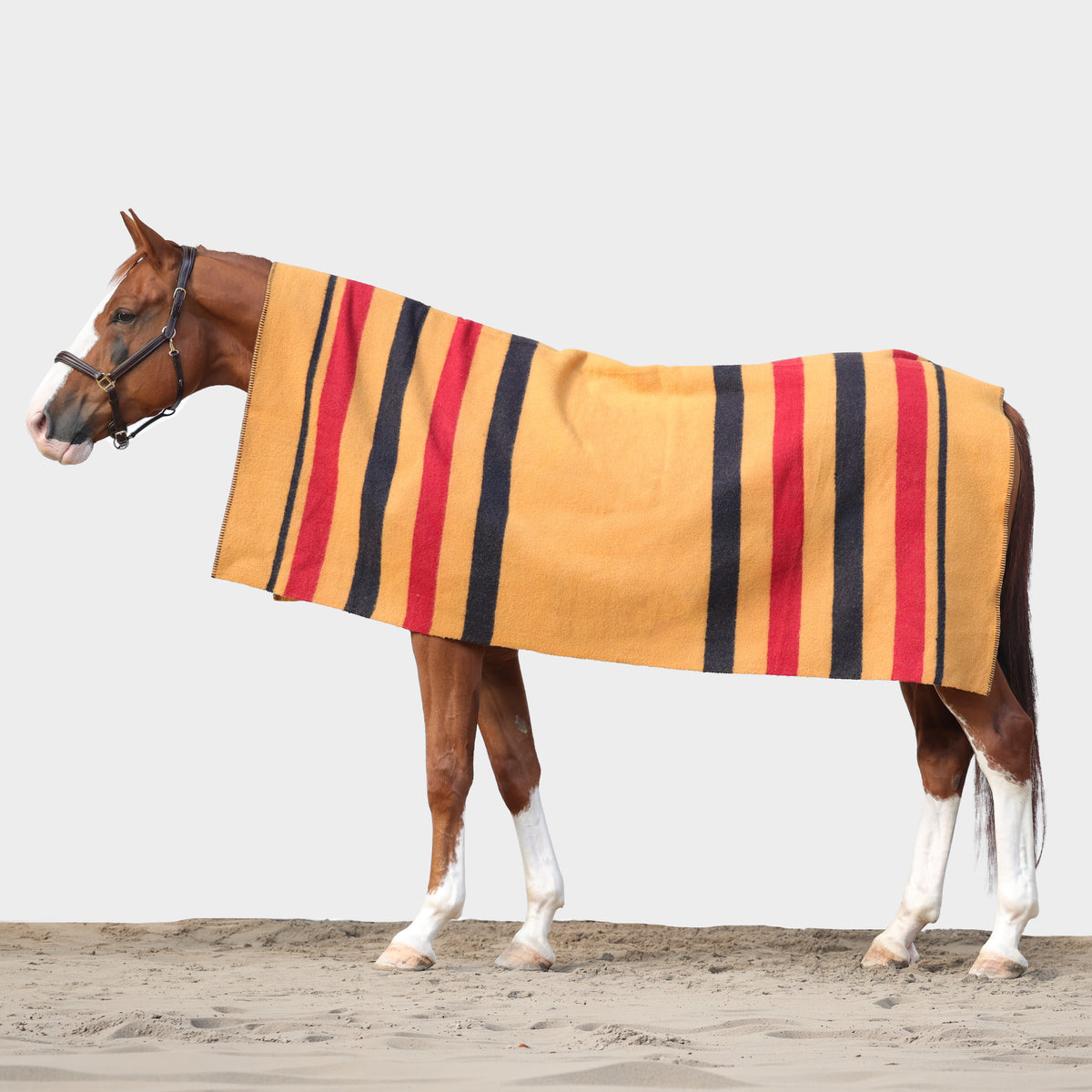 Couverture en laine Dominick Golden Stripe