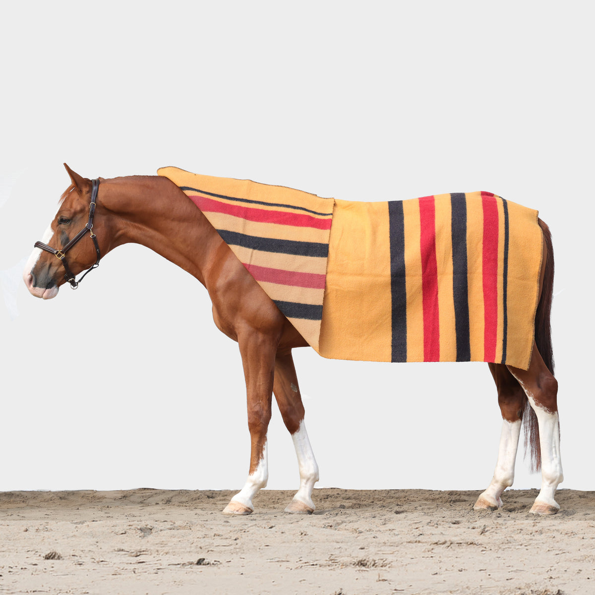 Couverture en laine Dominick Golden Stripe